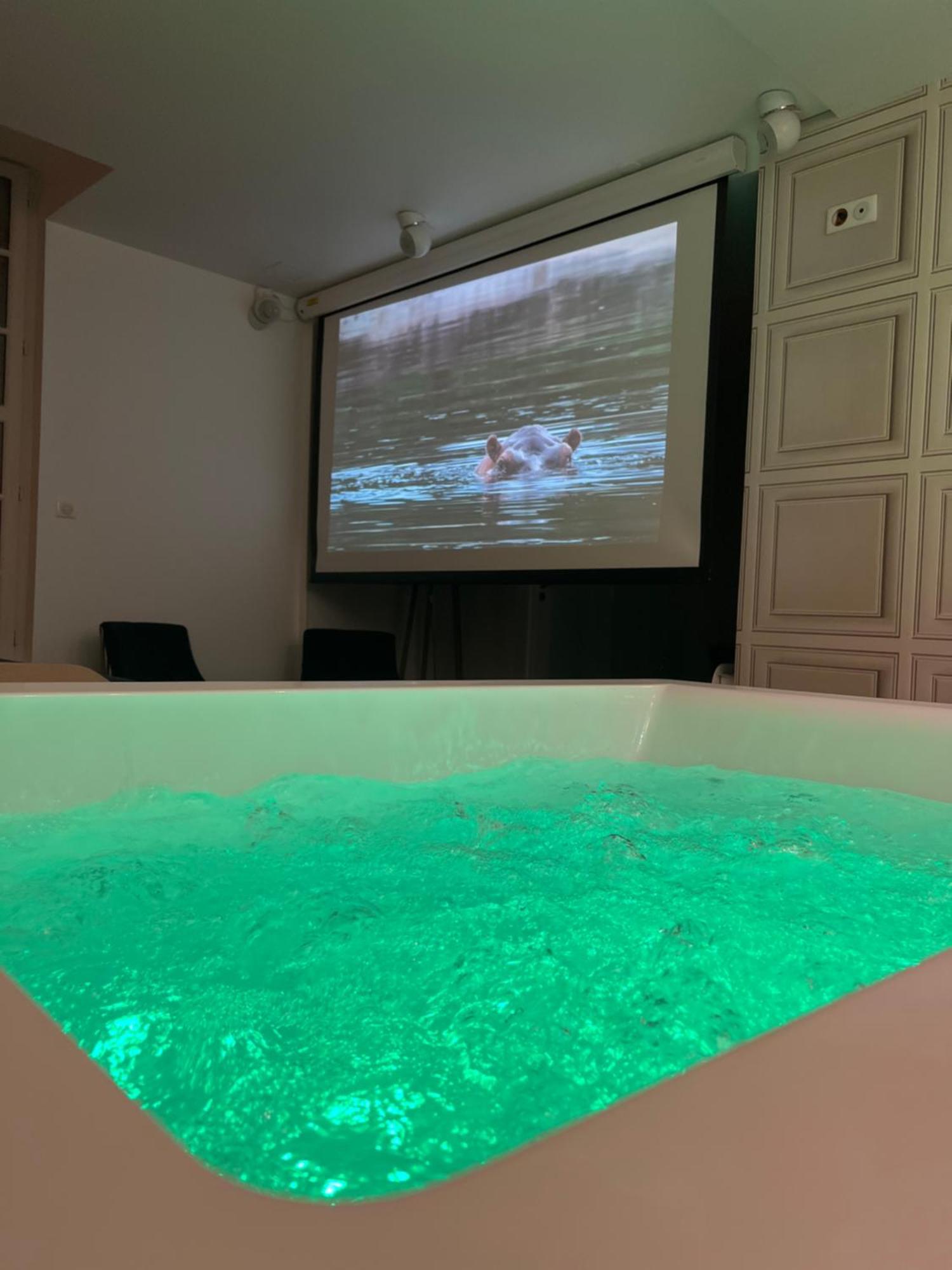 Appartement Avec Jacuzzi Sauna & Home Cinema - Nid D'Angers Buitenkant foto