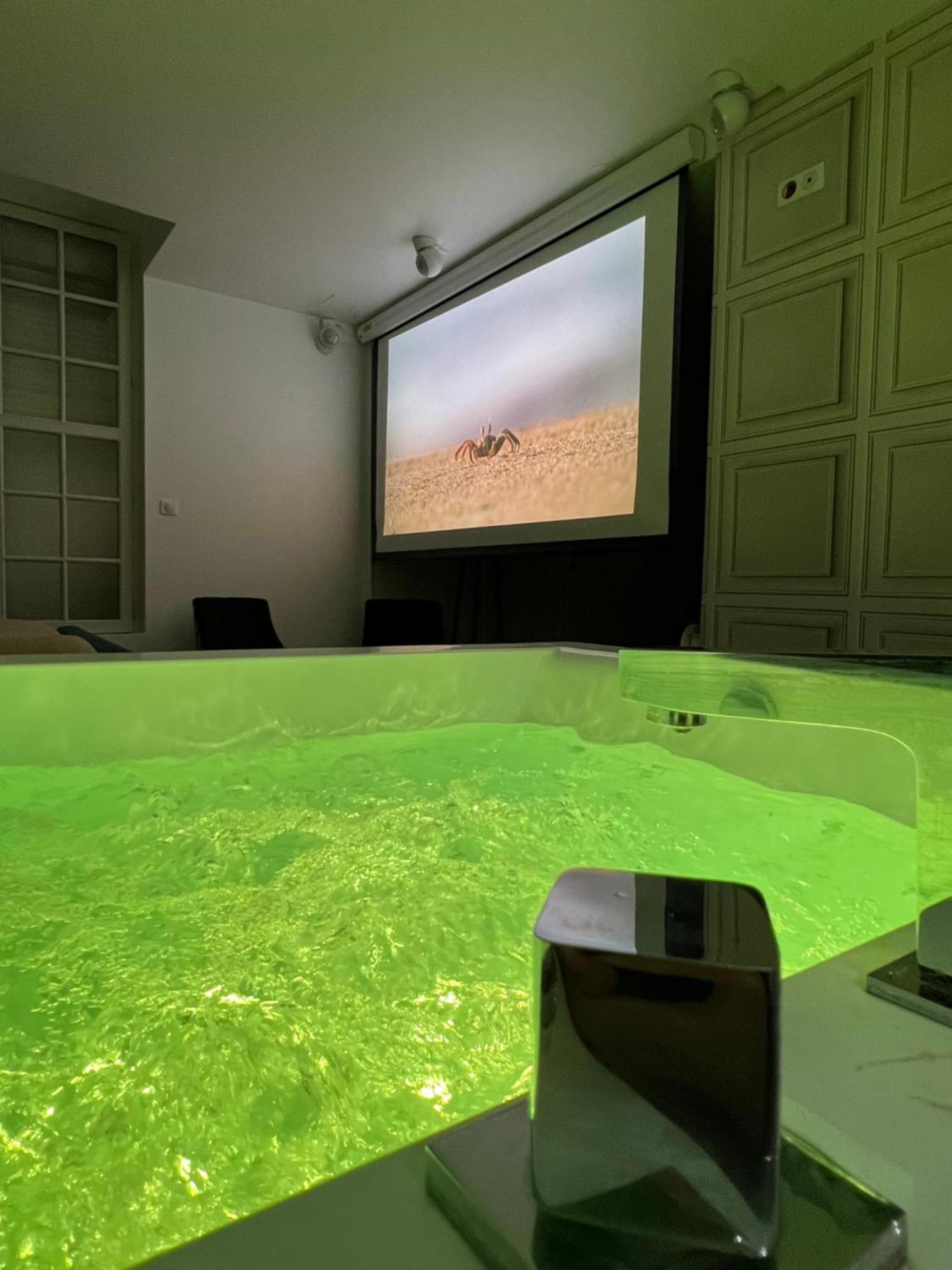 Appartement Avec Jacuzzi Sauna & Home Cinema - Nid D'Angers Buitenkant foto